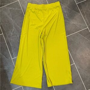 Dressed in LALA wide leg green pants